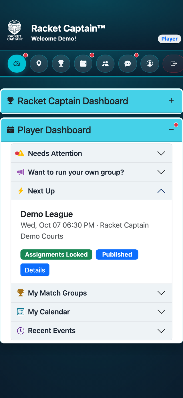 Player dashboard